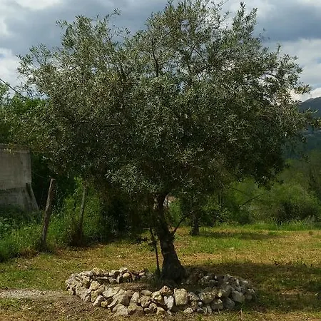 Casa Silvana 公寓 *